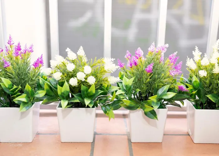 Winahost Lloret Santa Isabel Apartamento Lloret de Mar